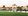 199 sqm Residential Lot For Sale in Concepcion Tarlac