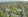 Avida Settings Greendale Alviera: Modern Living in Nature