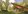 Build your Dream Home in Alegria Hills Cagayan de Oro by Ayala Land Residential Lot for Sale Premier