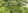 1,600 sqm Residential Lot For Sale in San Jose Del Monte Bulacan