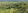 1,275 sqm Residential Lot For Sale in San Jose Del Monte Bulacan