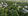 Spacious Residential Lots in Ayala Land's Miravera Development, San Jose del Monte, Bulacan
