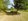 Agricultural Land for Sale in Victoria, Tarlac