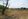 Farm Lot for Sale in Gapan City, Nueva Ecija