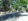 Residential Lot for Sale in Gerona, Tarlac