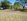Agricultural Land for Sale in Tarlac City
