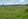Agricultural Land for Sale in Gerona, Tarlac