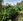 Vacant Commercial Lot in Lake Sebu, South Cotabato