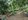 Farm Lot for Sale in Baras, Rizal