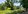 Industrial Vacant Lot in Consolacion, Cebu for Sale