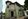 Elegant House For Sale in Portofino South, Las Pinas City