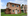 Luxurious 4-bedroom home in Belize at The Islands, Dasmarinas