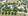 180 sqm Residential Lot For Sale in Santa Rosa Laguna