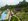 Affordable Residential Lot For Sale in Samal Davao Del Norte