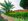 Memorial park options in Zamboanga City: Lots, niches, and estates