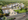Ready For Occupancy 20 sqm 1-bedroom Residential Condo For Sale in Capas Tarlac