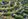 Prime Residential Lots Available Near Santa Rosa