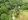 8 Hectare Agricultural Farm with Villa for Sale in Nasugbu, Batangas
