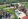 307 sqm Residential Lot For Sale in San Pablo Laguna
