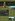 501 sqm Residential Lot For Sale in Lipa Batangas