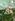 Premium residential lots in Cuesta Verde Lucena's master-planned community
