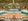 Exclusive Residential Lots at The Orchard Golf and Country Club Estates