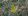 85 ha Raw Land For Sale Near New Clark City Capas Tarlac