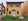 Move-In Ready House & Lot in Camella Dos Rios Trails Cabuyao, Laguna | Single Attached near Nuvali