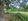 398 sqm. Residential Lot For Sale in Golden Meadows Executive Village, Binan, Laguna