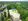 261 sqm Residential Lot For Sale in Tagaytay Cavite
