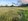 1 hectare Farm Lot in Nicanor Zabala, Roxas, Palawan