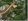 FOR SALE RAW LAND ALONG NEW BYPASS ROAD IN PAMPANGA