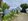 FOR SALE FAMILY RESORT WITH EXPANSIVE LOT IN MEXICO PAMPANGA NEAR LAKESHORE