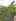 Maria Luisa Lot for SALE Banilad, Cebu City