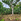 1979 sqm Lot for Sale in Northtown, Mandaue City, Cebu