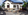 Foreclosed 2-bedroom Single Attached House For Sale in Limay Bataan