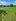 LOT for SALE at SYCAMORE HEIGHTS in Tagaytay Highlands