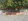 Corner lot House for Sale in La Marea San Pedro Laguna