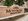 Foreclosed 47.50 sqm 1-bedroom Residential Condo For Sale in Montecito Residential Resort