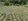 Tagaytay Residential Lot For Sale in Toledo Road Tagaytay City Cavite +