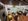 2BR for SALE at EAST of GALLERIA in Ortigas Center Pasig CIty