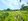 Subdivided Lots for Sale in Bacong
