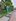UNIT 0721-B 7/F, FIELD RESIDENCES BLDG. 3, DR. A SANTOS AVENUE, SAN DIONISIO, PARANAQUE CITY