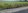1,000 sqm Residential Farm For Sale in Urdaneta Pangasinan (only 1100 per sqm Open Cutting)