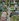 300sqm Residential lot for Sale in Park Place Exec Village Aguinaldo Highway Imus Cavite