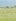 Narra Palawan Lot for Sale: 4000 Hectares Across Multiple Barangays