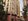 Foreclosed 57.50 sqm 2-bedroom Residential Condo For Sale in The California Garden Square