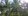 18-Hectare Farm Lot with River and Coconut Trees for Sale