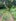 3,000 sqm Farm Lot For Sale in Norzagaray Bulacan (Ideal for Poultry  & Agri-business venture)