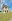 Rent to own/ Azera house unit